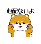飛び出す！ポジティブなぽっちゃり豆柴（個別スタンプ：19）