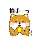 飛び出す！ポジティブなぽっちゃり豆柴（個別スタンプ：20）