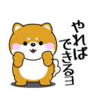 飛び出す！ポジティブなぽっちゃり豆柴（個別スタンプ：22）