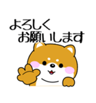 飛び出す！ポジティブなぽっちゃり豆柴（個別スタンプ：23）