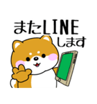 飛び出す！ポジティブなぽっちゃり豆柴（個別スタンプ：24）