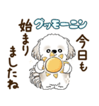 シーズー犬「ポジティブで自信あり」No.5（個別スタンプ：1）