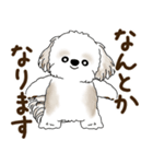 シーズー犬「ポジティブで自信あり」No.5（個別スタンプ：2）