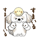 シーズー犬「ポジティブで自信あり」No.5（個別スタンプ：3）