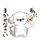 シーズー犬「ポジティブで自信あり」No.5（個別スタンプ：6）