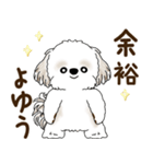 シーズー犬「ポジティブで自信あり」No.5（個別スタンプ：7）