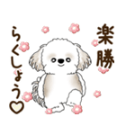 シーズー犬「ポジティブで自信あり」No.5（個別スタンプ：8）