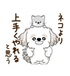 シーズー犬「ポジティブで自信あり」No.5（個別スタンプ：10）