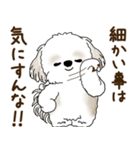 シーズー犬「ポジティブで自信あり」No.5（個別スタンプ：11）