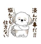 シーズー犬「ポジティブで自信あり」No.5（個別スタンプ：12）