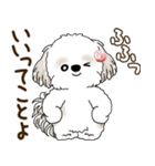 シーズー犬「ポジティブで自信あり」No.5（個別スタンプ：14）