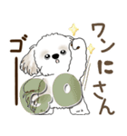 シーズー犬「ポジティブで自信あり」No.5（個別スタンプ：17）