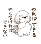 シーズー犬「ポジティブで自信あり」No.5（個別スタンプ：19）