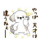 シーズー犬「ポジティブで自信あり」No.5（個別スタンプ：20）