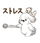 シーズー犬「ポジティブで自信あり」No.5（個別スタンプ：21）