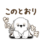 シーズー犬「ポジティブで自信あり」No.5（個別スタンプ：22）