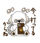 シーズー犬「ポジティブで自信あり」No.5（個別スタンプ：23）