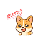かわいいコーギー犬のスタンプ corgi（個別スタンプ：11）