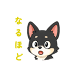 かわいいコーギー犬のスタンプ corgi（個別スタンプ：14）