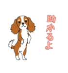 キャバリアと一緒の日常（個別スタンプ：2）