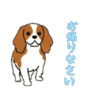 キャバリアと一緒の日常（個別スタンプ：3）