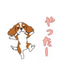 キャバリアと一緒の日常（個別スタンプ：9）