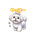 とにかくかわいい マルチーズ2（個別スタンプ：3）