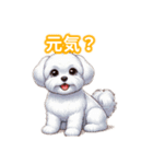 とにかくかわいい マルチーズ2（個別スタンプ：5）
