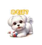 とにかくかわいい マルチーズ2（個別スタンプ：6）