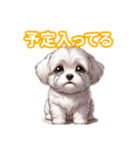 とにかくかわいい マルチーズ2（個別スタンプ：10）