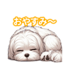 とにかくかわいい マルチーズ2（個別スタンプ：14）