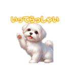 とにかくかわいい マルチーズ2（個別スタンプ：16）