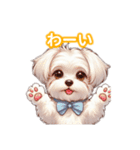 とにかくかわいい マルチーズ2（個別スタンプ：21）