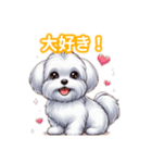 とにかくかわいい マルチーズ2（個別スタンプ：22）