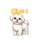 とにかくかわいい マルチーズ2（個別スタンプ：23）