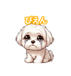 とにかくかわいい マルチーズ2（個別スタンプ：26）