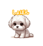 とにかくかわいい マルチーズ2（個別スタンプ：27）