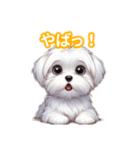 とにかくかわいい マルチーズ2（個別スタンプ：29）