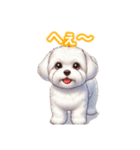 とにかくかわいい マルチーズ2（個別スタンプ：30）