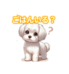 とにかくかわいい マルチーズ2（個別スタンプ：32）