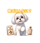 とにかくかわいい マルチーズ2（個別スタンプ：33）