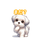 とにかくかわいい マルチーズ2（個別スタンプ：34）