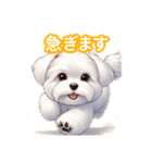 とにかくかわいい マルチーズ2（個別スタンプ：35）