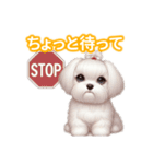 とにかくかわいい マルチーズ2（個別スタンプ：36）