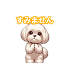 とにかくかわいい マルチーズ2（個別スタンプ：37）