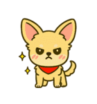 ♡もふワンたちのほっこり癒しスタンプ♡（個別スタンプ：19）