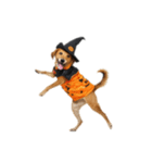 [アレンジ用]ハロウィンコスプレの犬2（個別スタンプ：1）