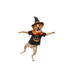 [アレンジ用]ハロウィンコスプレの犬2（個別スタンプ：8）