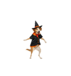 [アレンジ用]ハロウィンコスプレの犬2（個別スタンプ：11）