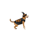 [アレンジ用]ハロウィンコスプレの犬2（個別スタンプ：16）